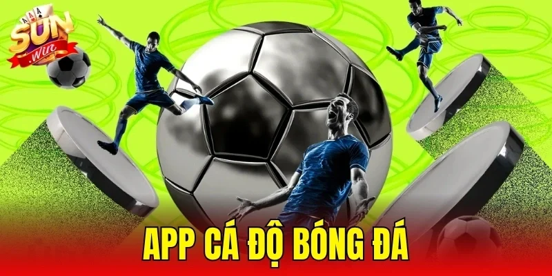 App Cá Độ Bóng Đá