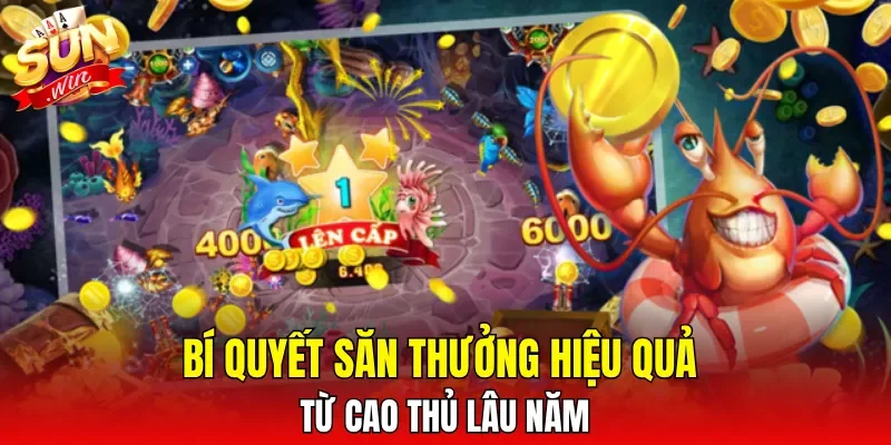 Bí quyết săn thưởng hiệu quả từ cao thủ lâu năm