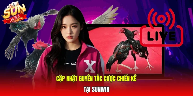 Cập nhật nguyên tắc cược chiến kê tại SUNWIN