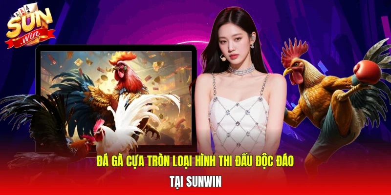 Đá gà cựa mang lại cho người xem nhiều tiện ích
