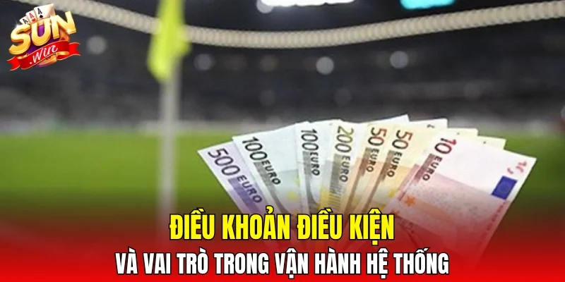 Điều khoản điều kiện và vai trò trong vận hành hệ thống