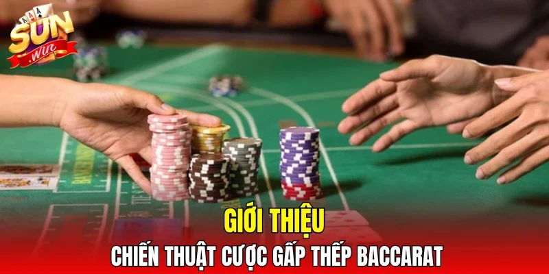 Giới thiệu chiến thuật cược gấp thếp Baccarat