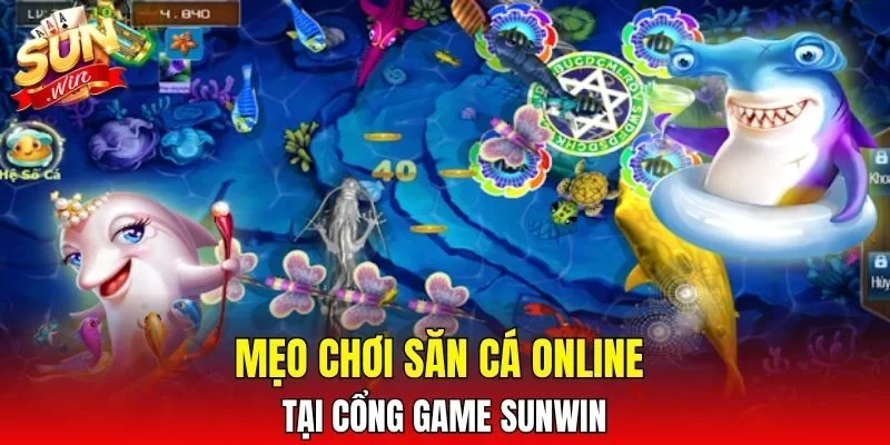 Mẹo chơi săn cá online tại cổng game SUNWIN