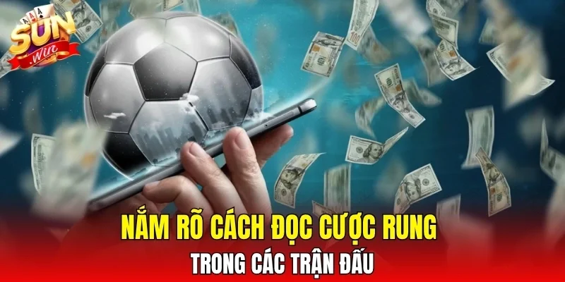 Nắm rõ cách đọc cược rung trong các trận đấu