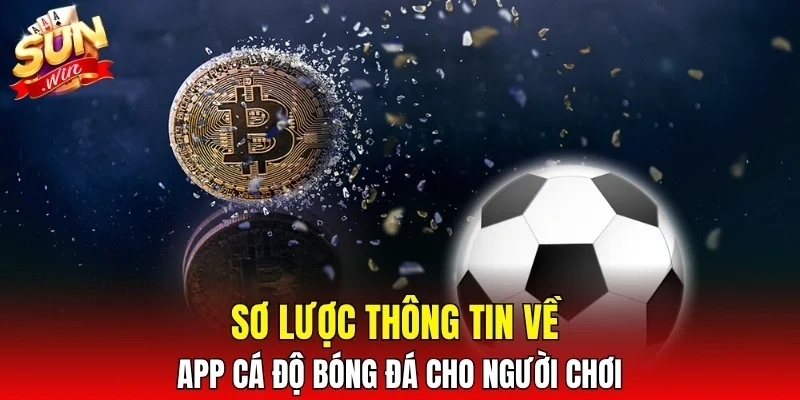 Sơ lược thông tin về app cá độ bóng đá cho người chơi
