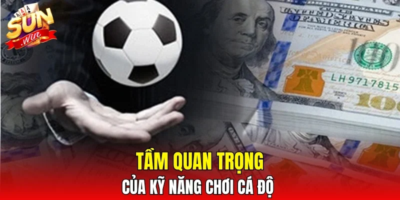 Tầm quan trọng của kỹ năng chơi cá độ
