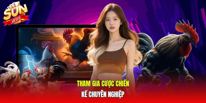 Tham gia cược chiến kế chuyên nghiệp