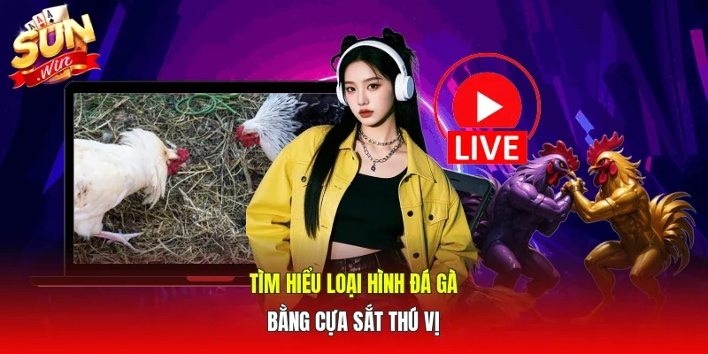 Tìm hiểu loại hình đá gà bằng cựa sắt thú vị